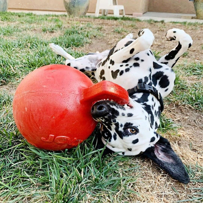 JOLLY PETS TUG-N-TOSS BALL
