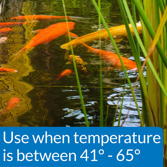 API POND COOL WATER POND FISH FOOD