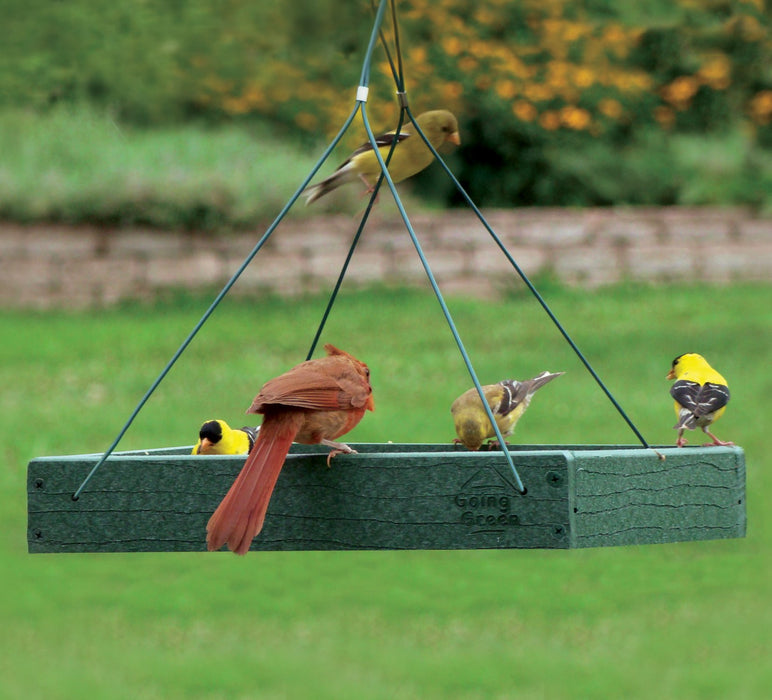 AUDUBON GOING GREEN PLATFORM FEEDER