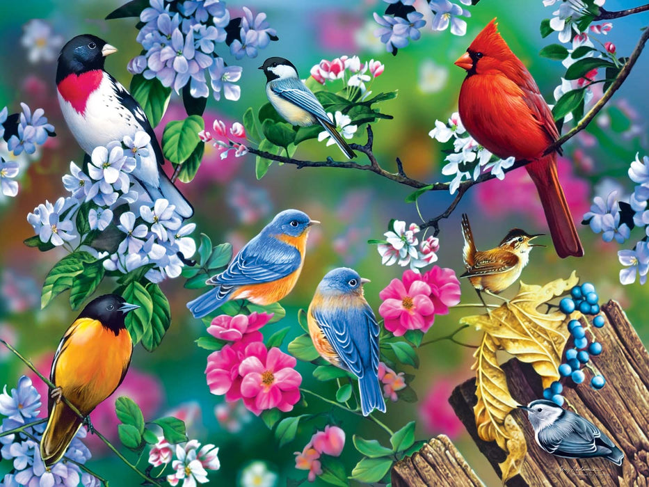 MasterPieces Puzzles Songbird Collage Puzzle 300pc