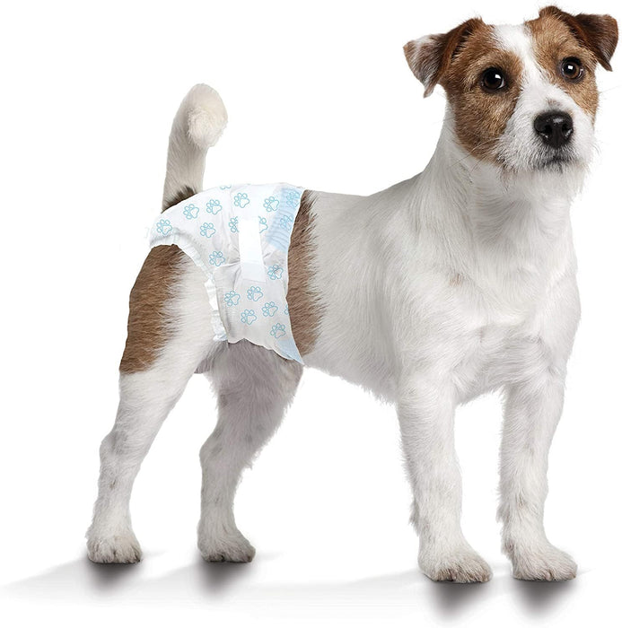 WEE-WEE DISPOSABLE DIAPERS