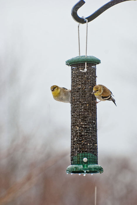 AUDUBON PEANUT & BLACK OIL SUNFLOWER SEED FEEDER