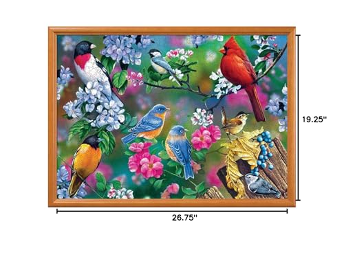 MasterPieces Puzzles Audubon Songbird Collage 1000 Piece Puzzle