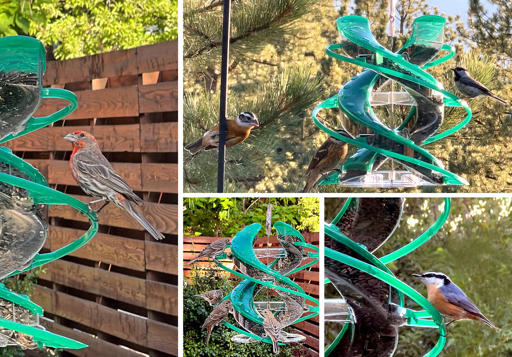 CASCADE CASCADE DNA SONGBIRD SEED FEEDER