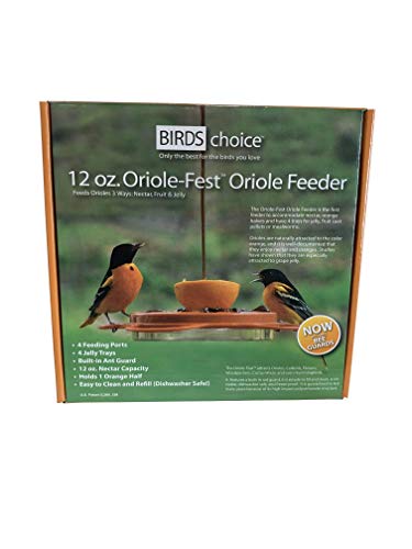 Birds Choice 1009 Oriole-Fest Oriole Feeder, 12-Ounce, Orange