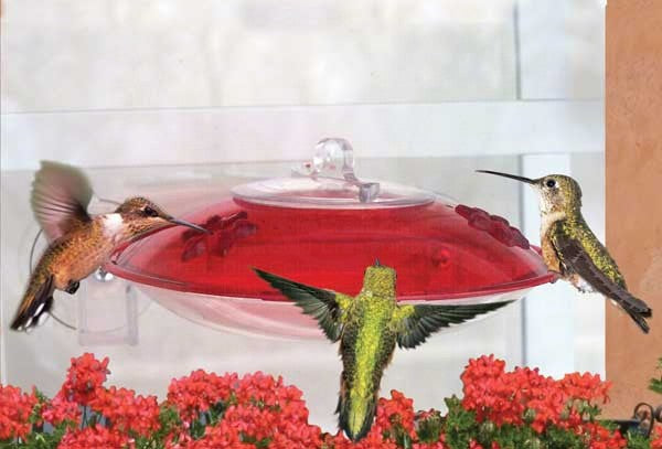 Window Hummingbird Feeder