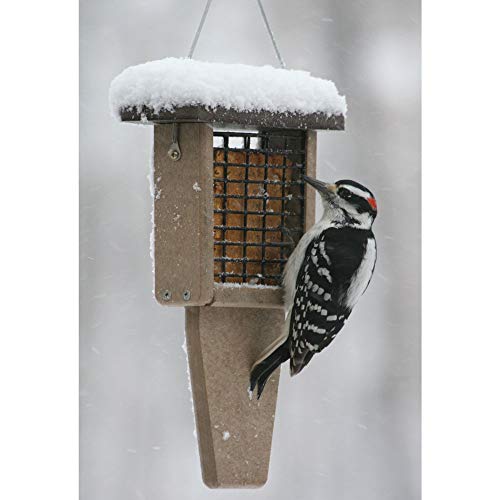 Birds Choice SNTPB Recycled Single Cake Tail Prop Suet Feeder, 1 Suet Cake, 8"L X 3"W Xv12"H, Taupe Base w/ Brown Roof