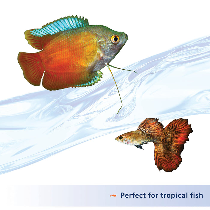 AQUEON NUTRINSECT TROPICAL FLAKE FISH FOOD