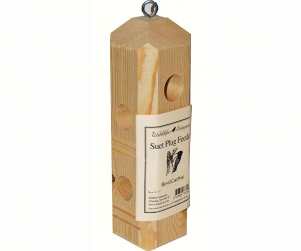 Pine Plug Feeder