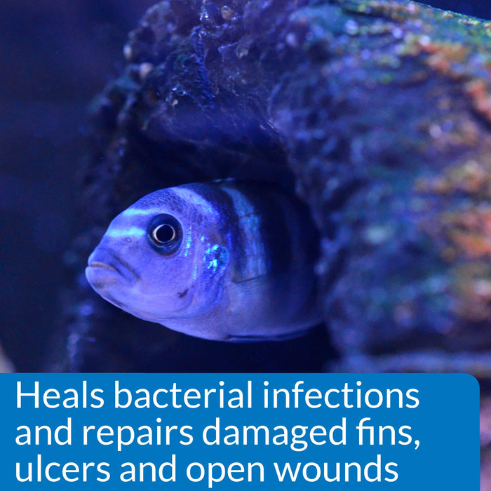 API MELAFIX FISH REMEDY