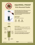 Birds Choice Squirrel Proof Classic Feeder w/Pole and Baffle