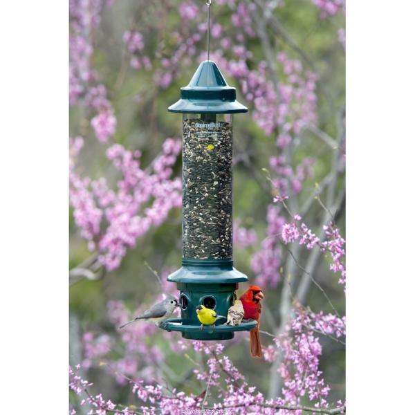Brome Squirrel Buster Plus Squirrel-proof Bird Feeder w/Cardinal Ring and 6 Feeding Ports, 5.1-pound Seed Capacity, Adjustable, Pole-mountable (POLE ADAPTOR SOLD SEPARATELY), Green