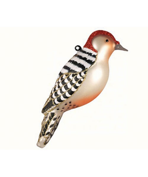 Cobane Studio  Red Bellied Woodpecker Ornament
