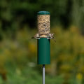 Birds Choice Squirrel Proof Classic Feeder w/Pole and Baffle