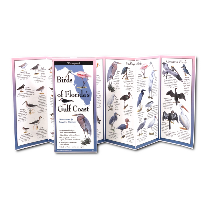 Birds of Florida's Gulf Coast FoldingGuide