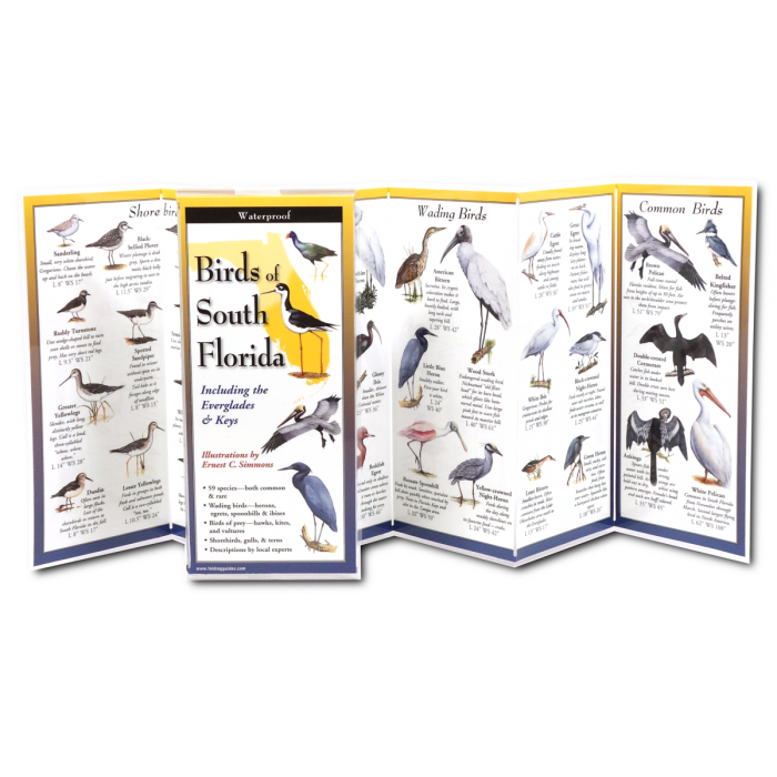 Birds of South Florida FoldingGuide