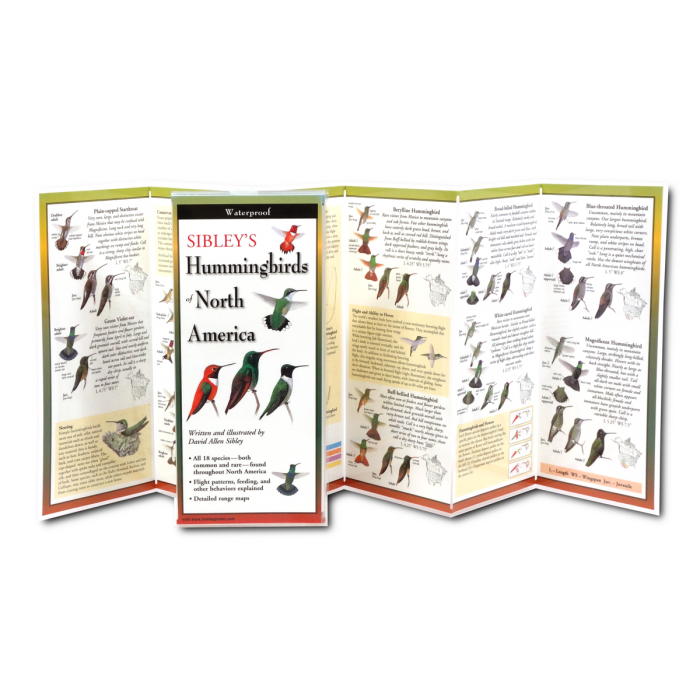 Sibley's Hummingbirds of North America Folding Guide
