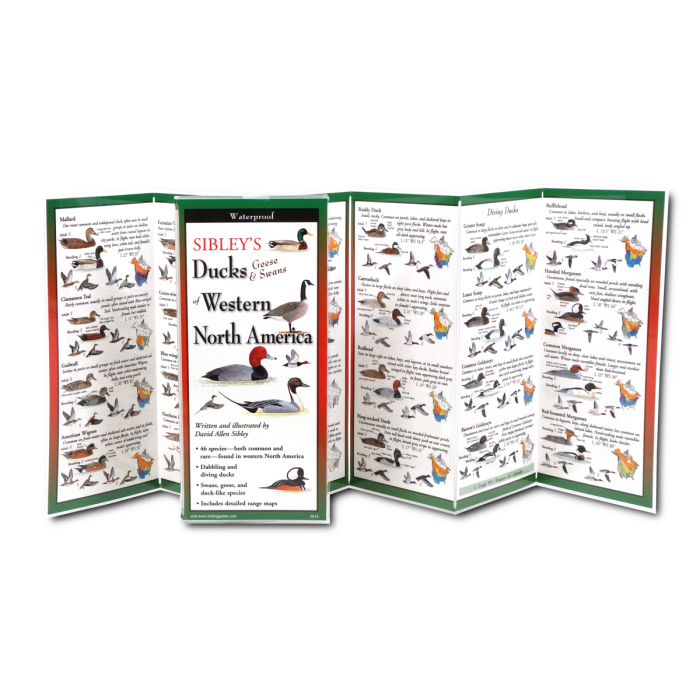 Sibley's Ducks, Geese,& Swans of Western North America FoldingGuide