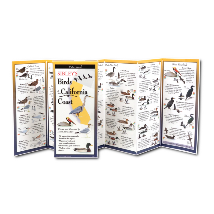 Sibley's Birds of the California Coast FoldingGuide