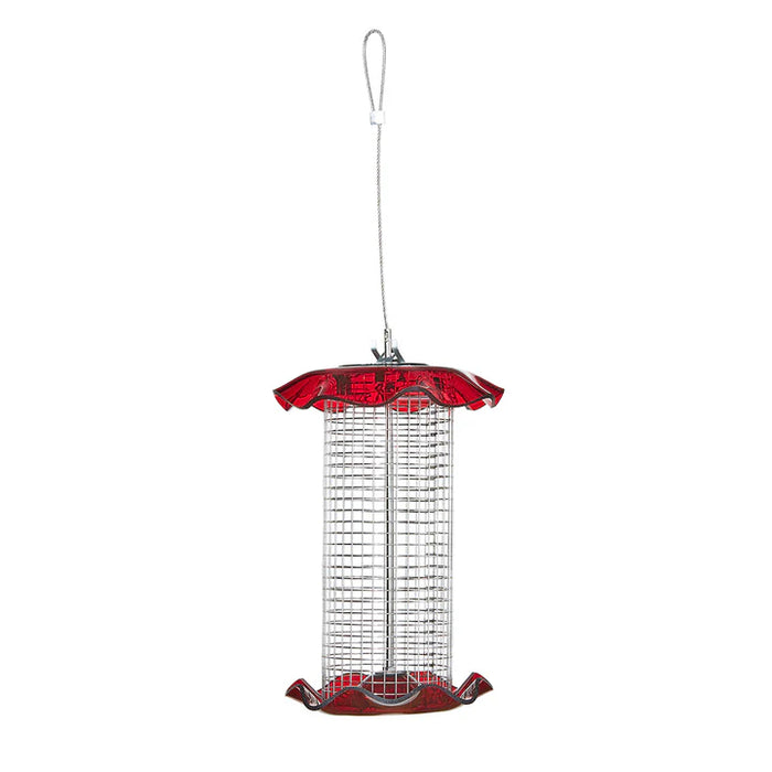 Birds Choice  Small Sunflower Seed Forever Feeder with Stainless Steel Screen in Red