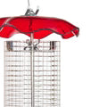 Birds Choice  Small Sunflower Seed Forever Feeder with Stainless Steel Screen in Red