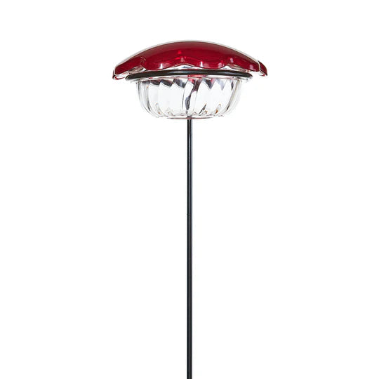 Birds Choice Hummingbird Feeder SIngle Cup Plant Stick