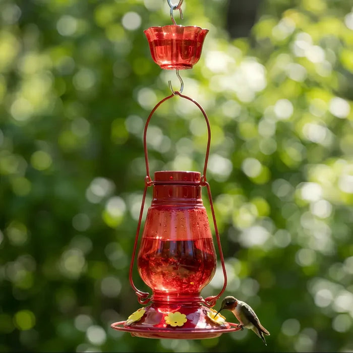 Kingsyard Lamp-shaped Glass Hummingbird Feeder w. Ant Moat