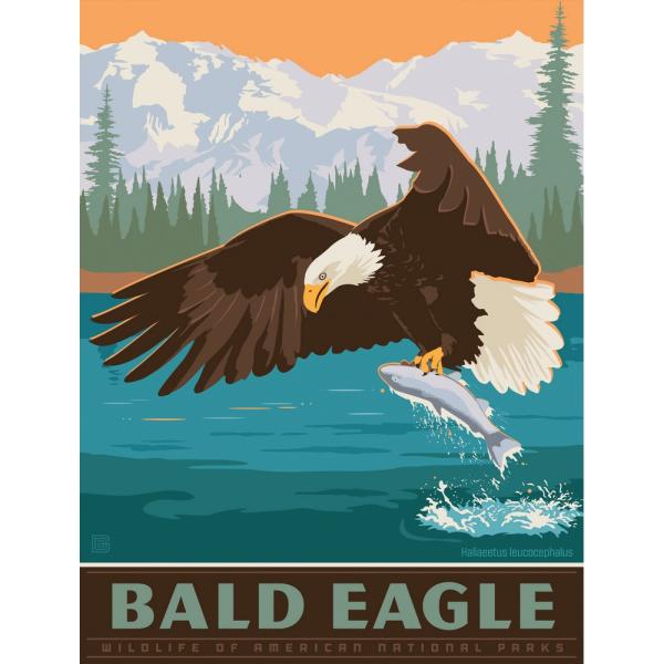MasterPieces Puzzles Bald Eagle 300 Piece Puzzle