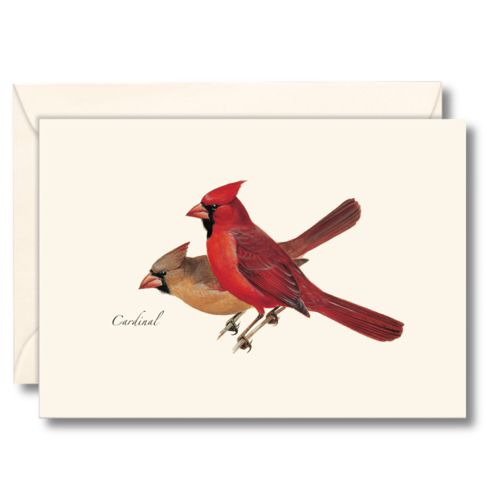 Cardinal Notecards (8 of 1 style)