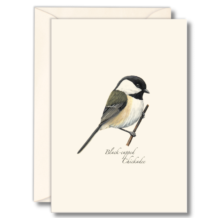 Chickadee Notecards (8 of 1 style)