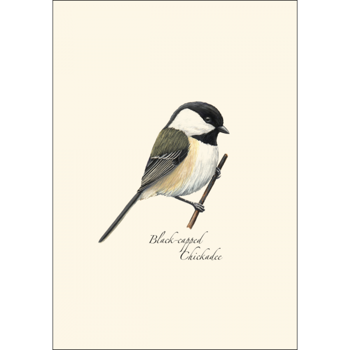 Chickadee Notecards (8 of 1 style)
