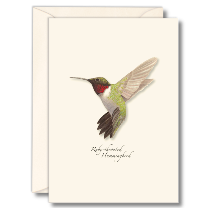 Ruby-throated Hummingbird Notecards (8 of 1 style)