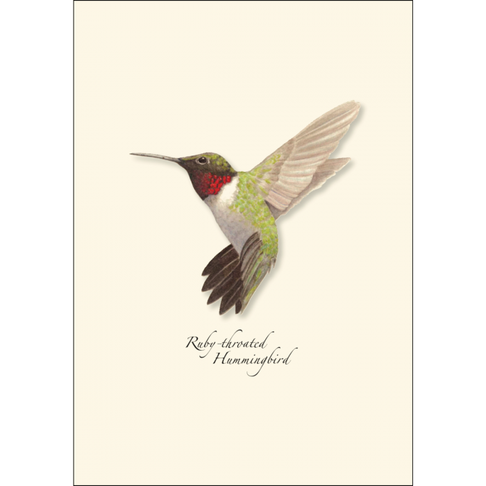 Ruby-throated Hummingbird Notecards (8 of 1 style)