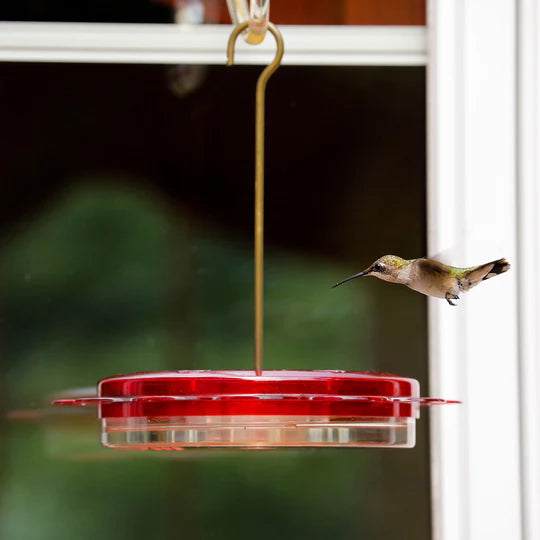 Birds Choice Hummerfest Hummingbird Feeder-12 oz. with 6 Nectar Ports