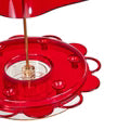 Birds Choice Hummerfest Translucent Hummingbird Feeder 12oz w/Red Weatherguard