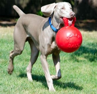 JOLLY PETS TUG-N-TOSS BALL