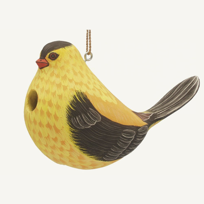 Bobbo from Songbird Essentials Fat Goldfinch Bird House