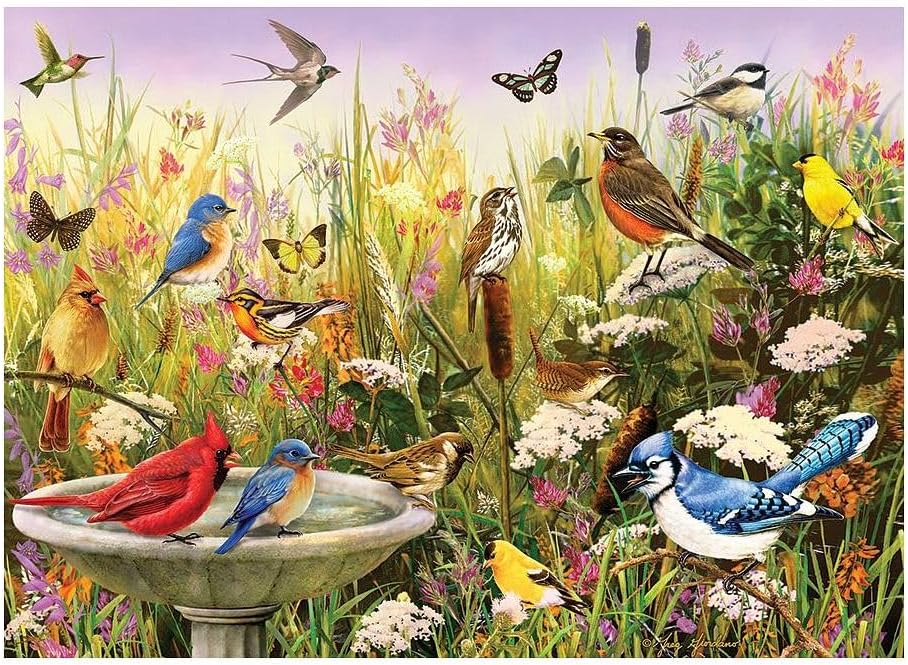 Feathered Friends Puzzle 1000