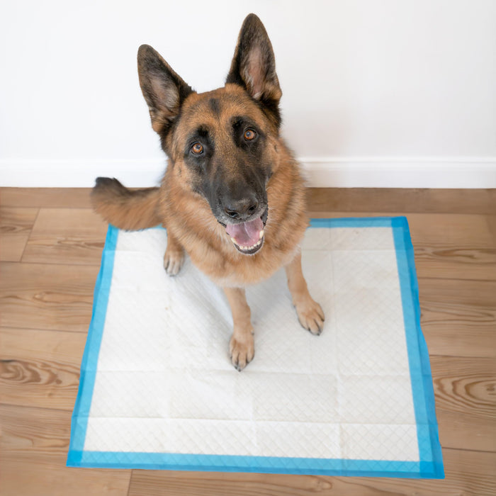 WEE-WEE PADS WITH BARRIER EDGE XL
