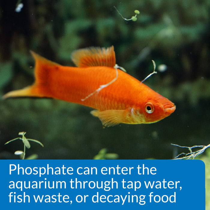 API PHOSPHATE TEST KIT FOR FRESH & SALTWATER