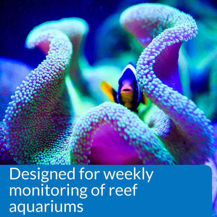 API REEF MASTER TEST KIT