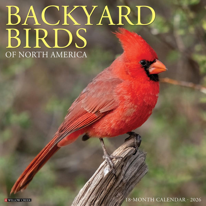 Willow Creek Press Backyard Birds of North America 2026 Calendar