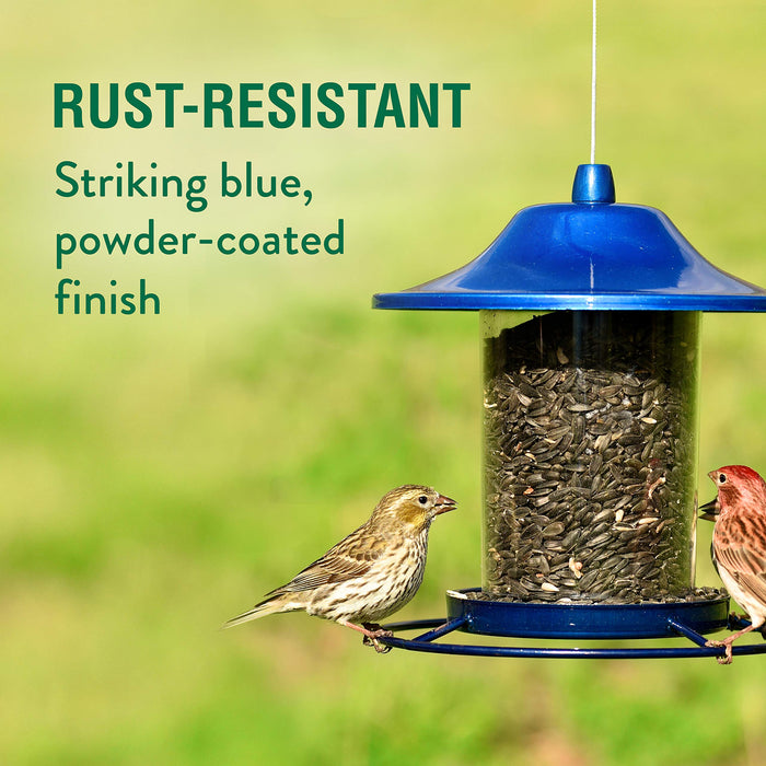 Blue Sparkle Panorama Feeder