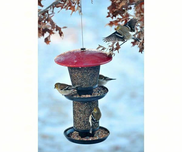 Perky-Pet 4 lb Multi-Seed Wild Bird Feeder