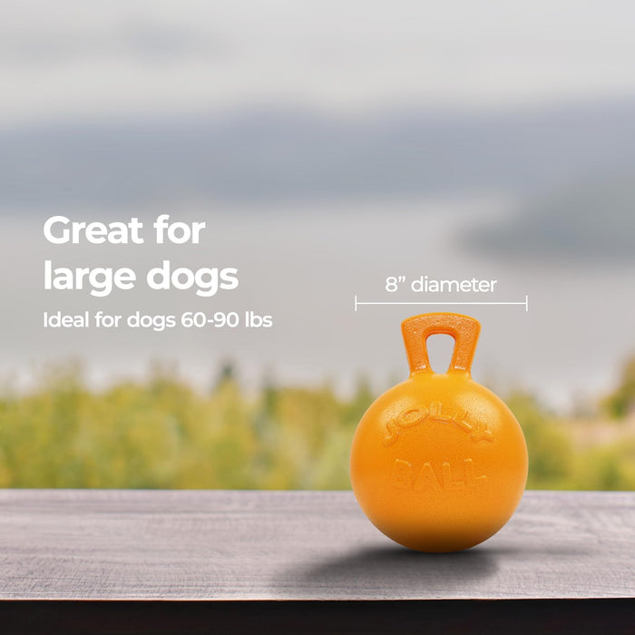 JOLLY PETS TUG-N-TOSS BALL