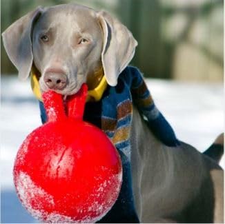 JOLLY PETS TUG-N-TOSS BALL