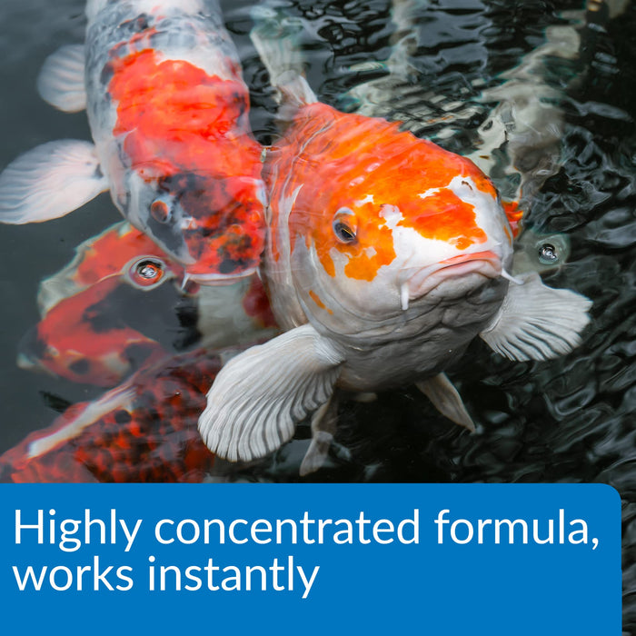 API POND AQUA ESSENTIAL WATER CONDITIONER