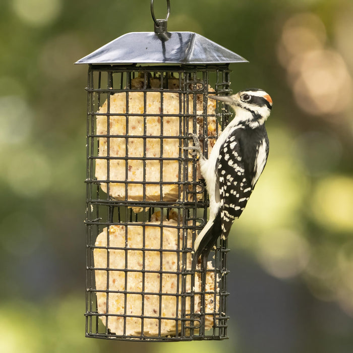 METAL SUET CAGE BIRD FEEDER W/ ROOF