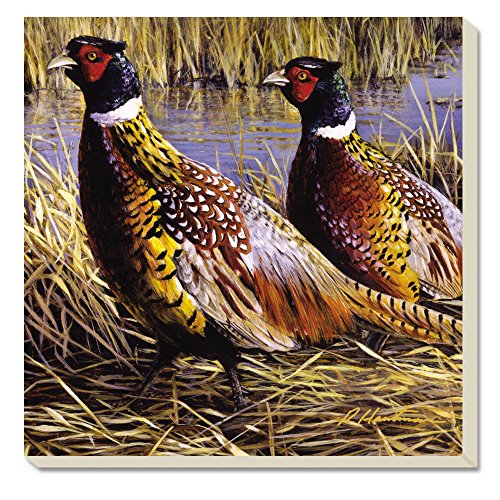 Game Birds Pheasants Coasters Set of 4