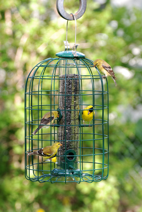 AUDUBON SQUIRREL-RESISTANT CAGED TUBE FEEDER